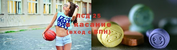 молекула духа Михайловск