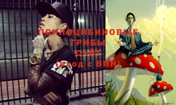 ешки Михайлов