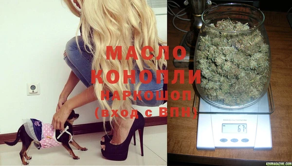 молекула духа Михайловск