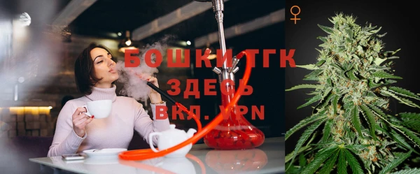 гидра Баксан